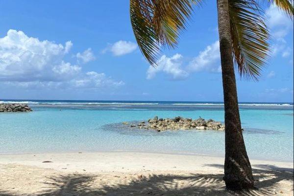 Bungalows Malueva 1 Chambre Et 1 Mezzanine A 5Min De La Plage De La Caravelle ساينت آن المظهر الخارجي الصورة